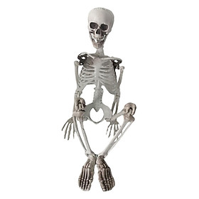 Halloween Skeleton Decoration Full Body Movable Joints Skeletons for Holiday