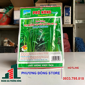 Combo 5-10 gói hạt giống Rau muống ( gói 100g) sinh trưởng tốt , nảy mầm cao