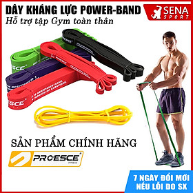 DÂY KHÁNG LỰC TẬP GYM POWERBAND CHÍNH HÃNG PROESCE HỖ TRỢ TẬP GYM, LÊN XÀ