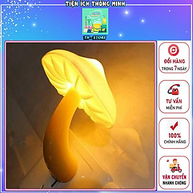 Mua Đèn ngủ hình cây nấm. Đèn cảm biến ánh sáng trang trí phòng ngủ - TT1176
