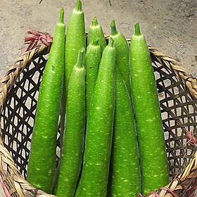 Mua Hạt Giống Bầu Sao Dài - Nảy Mầm Cực Chuẩn