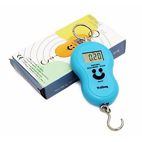 Mua Móc khoá cân điện tử cầm tay tối đa 40kg