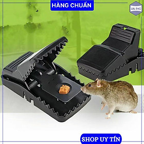 Bẫy chuột thông minh - mẫu mới nhất, hiệu quả, an toàn