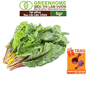 Mua Hạt Giống Rau Cải Cầu Vồng Greenhome  Gói 20g  Dễ Trồng Quanh Năm  Nảy Mầm Cao  Thu Hoạch Nhanh  Năng Suất Cao R06