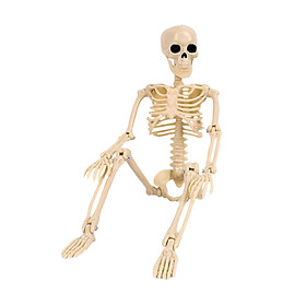 Mini Skeleton with Joints Movable Posing for Office Bookshelf Haunted House