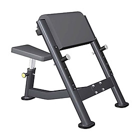 Ghế tập tay trước Tiger Sport Premium TGP-525