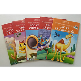 Combo Thế Giới Tuyệt Vời Của Động Vật: Chuột Túi Và Gấu Túi + Thằn Lằn Và Tắc Kè Hoa + Sóc Con Và Chim Gõ Kiến + Gấu Trúc Và Chim Công + Lạc Đà Và Chim Ruồi