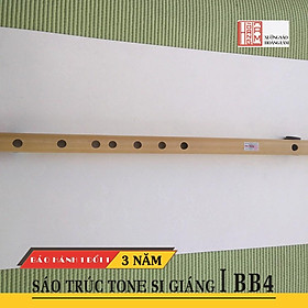 Mua Sáo nứa si giáng Bb4 chuẩn âm giá rẻ dành cho người mới tập