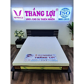 Hình ảnh NỆM CAO SU NON MASSAGE THẮNG LỢI HÀNG CHÍNH HÃNG BẢO HÀNH 15 NĂM VỀ SỤT LÚN