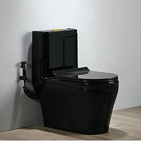 Mua Bồn cầu một khối màu đen bóng nghệ thuật