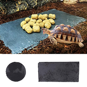 2x Reptile Feeding Dish Water Food Bowl Rock Plate for Tortoise Lizard