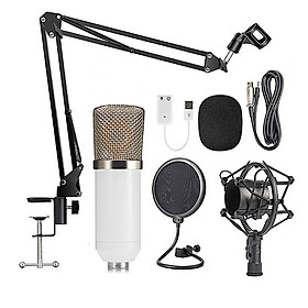 Professional BM700 Condenser Microphone Sound Recording Microphone Mic KTV Singing Studio Recording Kit White