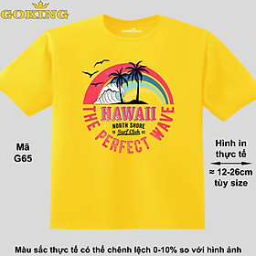 HAWAII, mã G65. Áo thun hàng hiệu GOKING siêu đẹp cho cả gia đình, công nghệ in Nhật Bản sắc nét 4K. Form unisex cho nam nữ, trẻ em, bé trai gái. Quà tặng ý nghĩa