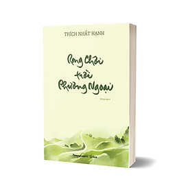 Rong Chơi Trời Phương Ngoại