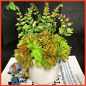 Hoa Giả Chậu Sen Đá Trang Trí Bàn Kệ Tủ Giá Sách Cao 15-20cm