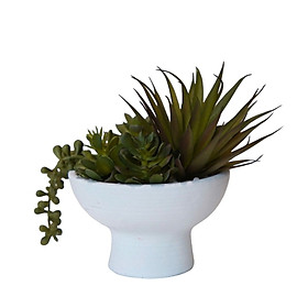 Mua Chậu Cây Cảnh Trang Trí DAVER - Cây Giả Trang Trí |Index Living Mall - Nội thất Thái Lan|