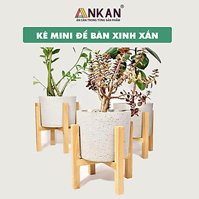 Mua Đôn Gỗ Để Chậu Cây Thương Hiệu ANKAN  Giá Đỡ Chậu Cây Mini Để Bàn  Lọt Lòng Chậu Cây Có Đường Kính 13.5cm  Có Phủ Dầu Bóng  Thiết Kế Tinh Xảo - Hàng Chính Hãng