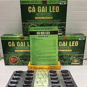 Cà gai leo Gold tex bổ gan mát gan giải độc gan tăng cường chức năng gan