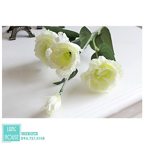 Mua Hoa Giả - HOA LAN TƯỜNG Loại 1 Giống Thật - 1 Cành 4 Bông