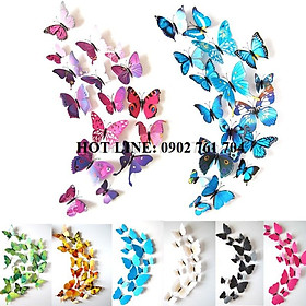 Mua Set bướm 3D nam châm gắn tủ lạnh  dán tường