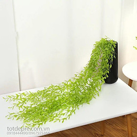 Mua Chùm Liễu Non (80cm) - Cây giả