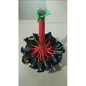 Mua đuôi đèn thanh long kín nước làm sẵn dây ghim kim chong đèn