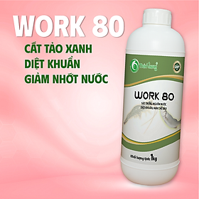 WORK 80 - Xử lý nước, hạn chế tảo