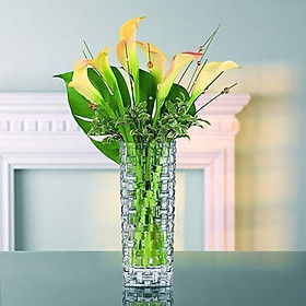 Lọ hoa Pha Lê Cao Cấp VASE BOSSA NOVA 28cm 80727 NACHTMANN