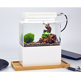 Hình ảnh Bể cá siêu mini - Cunzo Mini Plastic Fish Tank