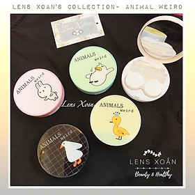 HỘP ĐỰNG LENS