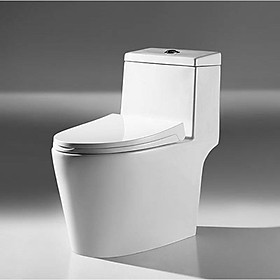 Mua Bồn Cầu 1 Khối  Cao Cấp CN-856