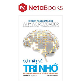 Sự Thật Về Trí Nhớ