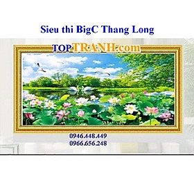 Mua Tranh thêu chữ thập đầm sen hồng 223109 (Chưa thêu)