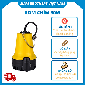 Mua Máy bơm nước chìm BP-12V - 50W Siam Brothers