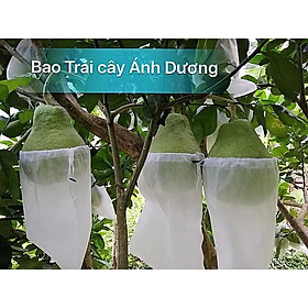  100 Túi bao Bưởi cỡ lớn, Bưởi Da Xanh,.. túi bao trái cây VẢI KHÔNG DỆT RÚT TÚI CHUYÊN DỤNG