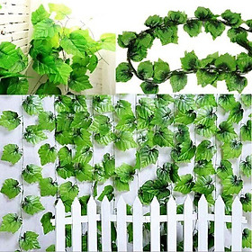 Mua Dây Lá Thường Xuân Dây Lá Nho 2m  - trang trí tường rào  giàn hoa  dây leo