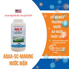 Men vi sinh xử lý nước ao nuôi nước mặn AQUA SC MARINE - Chai 1 lít - SCMARINE