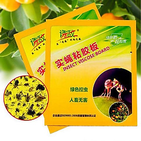 Mua Combo 5 Miếng Dán Bẫy Ruồi Vàng Kích Thước 21cmx19cm