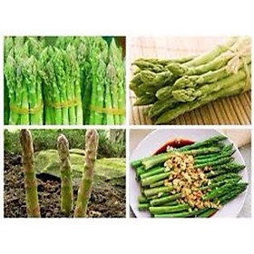 Hạt giống măng tây xanh italia gói 100g khoảng 3000- 4000 hạt