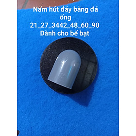 Nấm đáy bằng đá chuyên dùng cho bể bạt