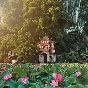 Tour Hoa Lư - Tràng An - Hang Múa 01 Ngày, Gồm Ăn Trưa, Khởi Hành Hàng Ngày & Lễ Tết