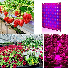 LED Grow Light Full  Indoor Plants Growing Lamp for Indoor Hydroponics Greenhouse Plants Veg and Flower