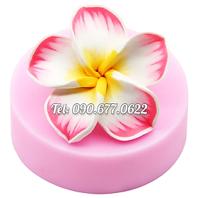 Mua Khuôn silicone làm bánh  rau câu hoa sứ 5 cánh loại 8 cm - Mã số 1608