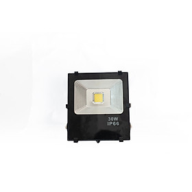 Đèn pha LED đổi màu tự động công suất 30W