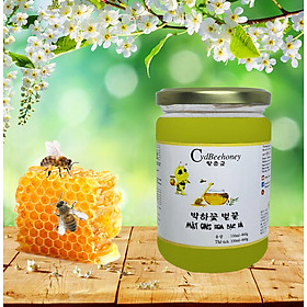 Mật Ong Hoa Bạc Hà Cao Cấp 330ml460g - Premium Mint Flower Honey