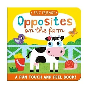 Sách Touch & Feel: First Opposites