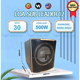 Mua Loa sub điện Leader 12 -  Bass 30 - Hàng chính hãng