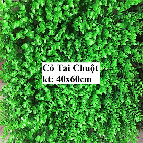 Mua Cỏ trang trí tường tai chuột kích thước 40cmx60cm