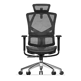 Ghế văn phòng công thái học Ergonomic M90C