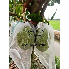 100 Cái Túi Lưới Cước Thái Bao Bọc Trái Mít Kích Thước 50*70cm - Túi Bọc Trái Cây